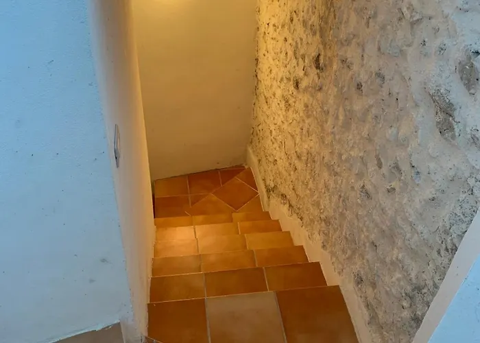 Il Cerbiatto * Secinaro